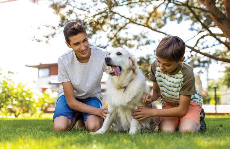 boy playing with dog outside, tick and flea free dog